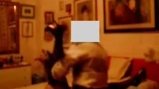 Nos pidió que le hiciéramos videos xxx petardas en español gangbang a su esposa en todos los agujeros