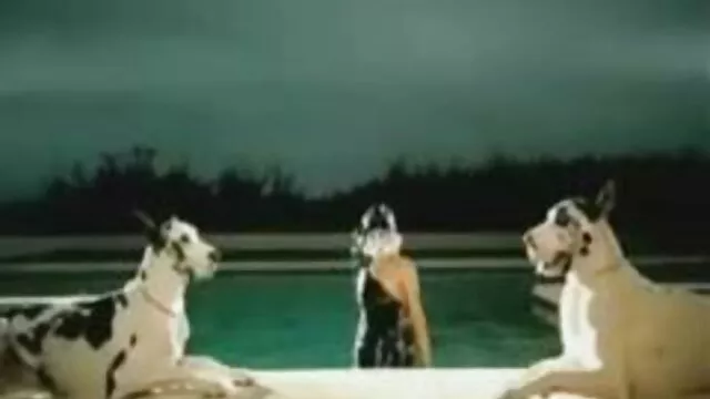 El ojete hambriento de Victoria Todorova español videos xxx