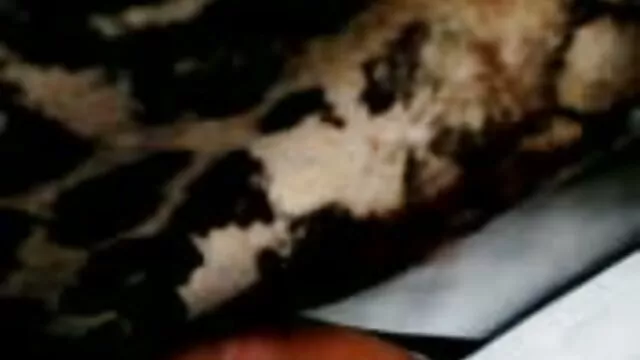 Abuelita rusa video xxx gratis en español enculada y creampied